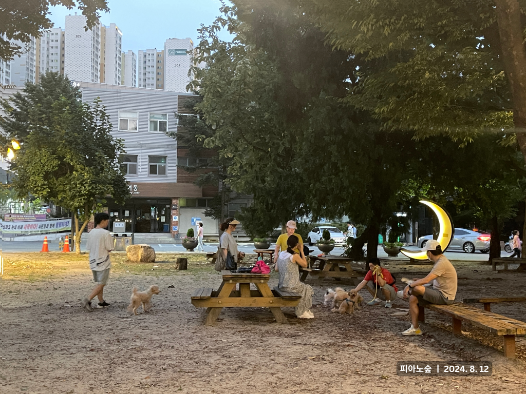 Seoul Innovation Park evening